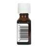 Aura Cacia Wintergreen Pure Essential Oil - 0.5 fz - 2 of 4