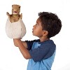 Folkmanis Puppets Dinosaur Egg Puppet 3134 - 3 of 3