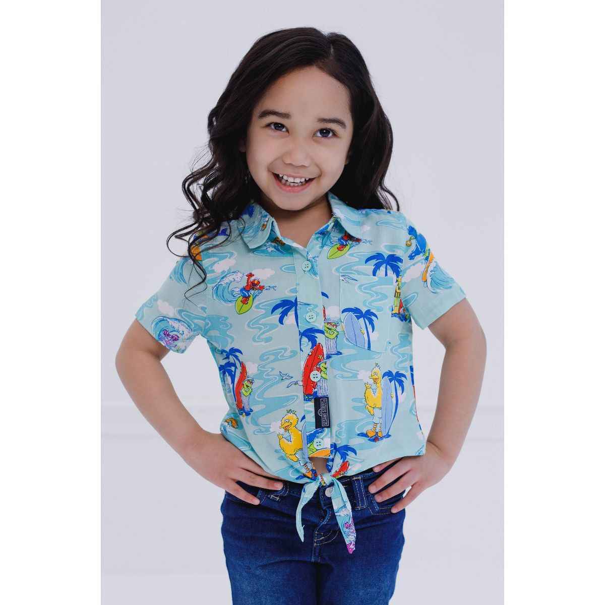 Sesame Street Matching Family Hawaiian Button Down Dress Shirt Toddler - thumbnail 8