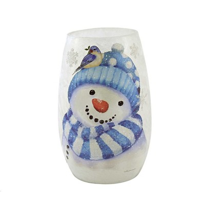 Stony Creek 5.25" Snowman & Blue Bird Pre-Lit Med Electric Frosty Winter Frosted  -  Novelty Sculpture Lights