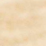 light beige, camel, medium brown, dark brown