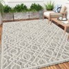 Indoor Outdoor Farmhouse Area Rugs for Backyard Deck Patio, Plush Thick Low Pile Throw Carpet for Bedroom Living Room Dining Room - 3 of 4