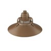 Millennium Lighting R Series 1 - Light Pendant in  Copper - 3 of 3