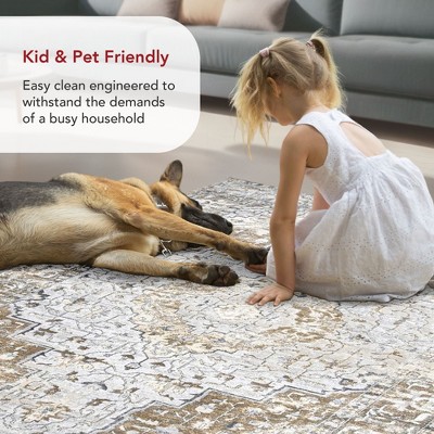 Distressed Medallion Thea Multicolor Synthetic Area Rug, 10' x 14'
