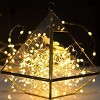 Perfect Holiday 10ft 30 LED Fairy String Microdot Battery Operated Indoor Light - Warm White - 3 of 4