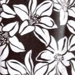 black blossom