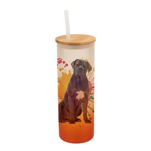 100 North 25 Ounce Frosted Glass Gradient Travel Tumbler With Straw & Wooden Lid, Cane Corso Dog Paint Splatter Orange - 1 of 4