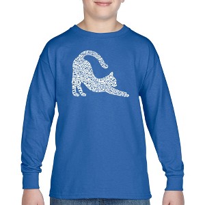 LA Pop Art Stretching Cat - Boy's Word Art Long Sleeve T-Shirt - 1 of 4