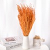 Unique Bargains Natural Home Decor DIY Design Dried Flowers Bouquet 1 Pc - 2 of 4