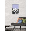 Trends International Snowtap - Panda Photobomb Framed Wall Poster Prints - 2 of 4