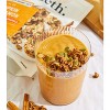 Purely Elizabeth Ancient Grain Granola Salty-Sweet Crunchy Clusters Pumpkin Cinnamon 12 oz - 4 of 4