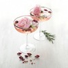Twine Copper Rim Crystal Coupe Glasses, Electroplated Copper Rim - Set of 2, 10oz - 3 of 4