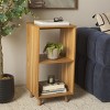Yona Verticle 2 Shelf Accent Table - ACC5740A - Brown Oak - Safavieh - 2 of 4