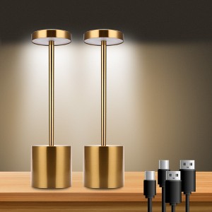 YANSUN Series 10 in. Gold Dimmable Integrated LED Task and Reading Desk Lamp with USB Port and Adjustable Lamp Head - 1 of 1