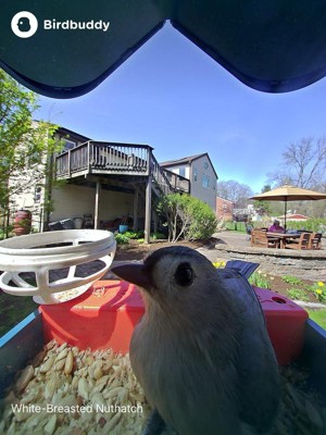 Guest review image 1 of 5, zoom in