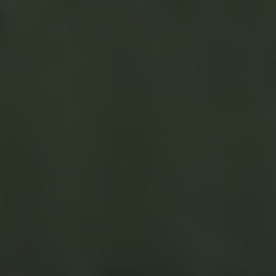 rxsw3100391-olive