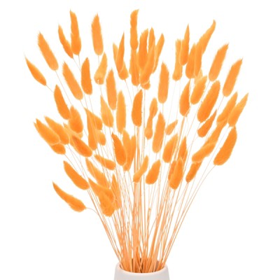 Unique Bargains Artificial Dried Flowers Realistic Look Pampas Bunny Tails Grass 17 Inch