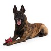 BARK Afraid of the Bark Halloween Brawning Bat Interactive Dog Toy - 3 of 4