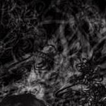 clear push pins bundle