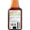 Theraflu Flu Relief Max Strength Daytime Formula Liquid Medicine, Honey & Elderberry Flavor, 8.3 Oz - 3 of 4