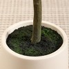 Kazeila Artificial Bougainvillea Tree with White Planter, Tall Faux Bougainvillea Trees with Red Flowers - 4 of 4