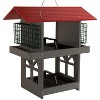 JCS Wildlife Double Fly Thru Bird Feeder with Suet Cages - 2 of 4