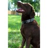 Country Brook Petz Deluxe Leopard Print Dog Collar - Made in the U.S.A. (1/2 Inch, Extra Small) - 3 of 4
