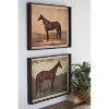 Wall Art, Set of Two Horse Prints Under Glass 16"H, Brown Distressed Wood & Glass Cottage Wall Decor By Kalalou - 2 of 3