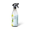 Lemon & Mint All Purpose Cleaner - 28 fl oz - Everspring™