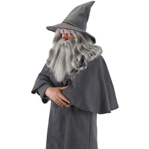 HalloweenCostumes.com One Size Fits Most   Lord of the Rings The Hobbit Gandalf Costume Hat for Adults and Teens, Gray - 1 of 4