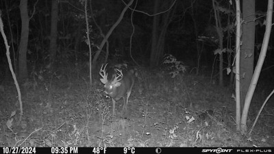 Guest review image 3 of 4, zoom in