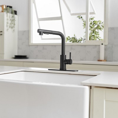 Matte Black Stainless Steel Pull-Out Spray Kitchen Faucet