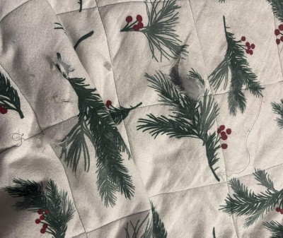 Guest review image 1 of 1, zoom in