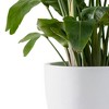 Rosemead Home & Garden 3pc Kante Concrete Outdoor Planter Pots Chalk White 20"x20"x18.5" - 2 of 4