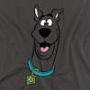 Scooby Doo Scooby Doo Adult T-Shirt - 2 of 4