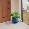 Vynxaria Set of 2 Modern 7" Glossy Red Ceramic Flowerpots for Indoor & Outdoor Use - 2 of 4