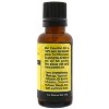 Plantlife Lemon Aromatherapy Essential Oil - Straight from The Plant 100% Pure Therapeutic Grade - No Additives or Fillers - 3 of 3