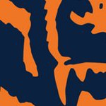 chicago bears