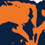 chicago bears