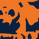 chicago bears