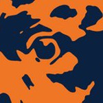 chicago bears