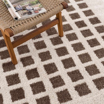Hauteloom Baback Brown Washable Area Rug