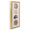 Stupell Industries Traditional Nautical Sea Shells, 11" x 25" - 3 of 4