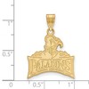 Black Bow Jewelry 14k Yellow Gold Furman Paladins NCAA Large Pendant - 2 of 3