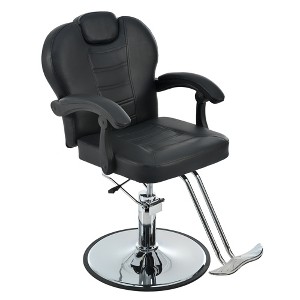 Dexmalle 360° Reclining Barber Salon Chair with Heavy Duty Hydraulic Pump,Black - 1 of 4