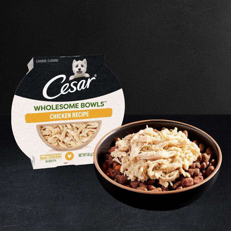 Cesar Wholesome Bowls Chicken, Apple &#38; Sweet Potato Recipe Adult Wet Dog Food - 3oz, 6 of 12