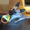 Pavilion Gift Company - Party Animal - Canvas Dog Toy on a Rope - Pet Toy - 2 of 4