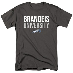 Men's Brandeis University Official Stacked T-Shirt - 1 of 4