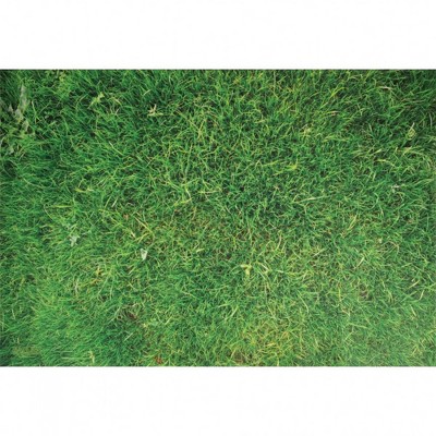 Kaplan Early Learning STEM Play Mat - Grass