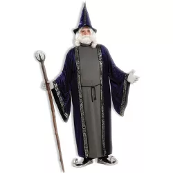 Forum Novelties Wizard Men's Plus Size Costume